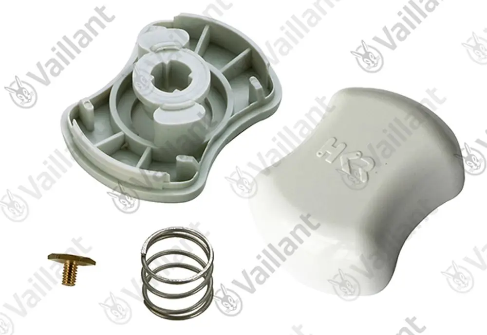 Vaillant Produktbestandteile, bestehend aus einer grauen Halterung, einer Schraube und einer Feder, arrangiert auf einem weißen Hintergrund.